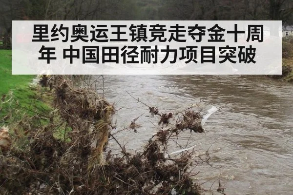 里约奥运王镇竞走夺金十周年 中国田径耐力项目突破